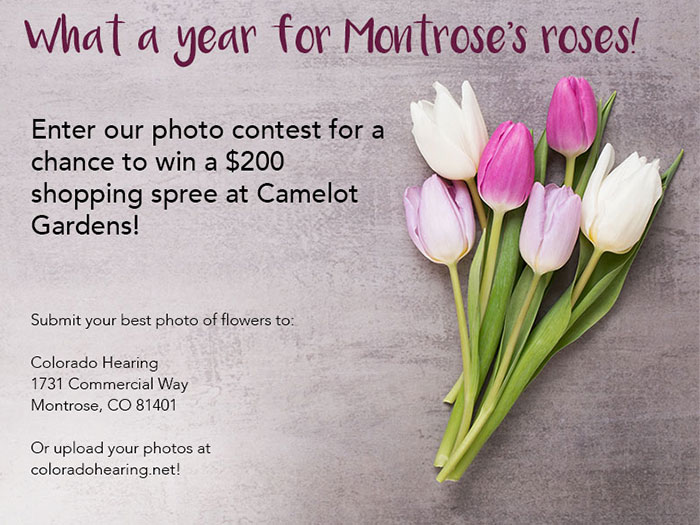 contest flyer graphic